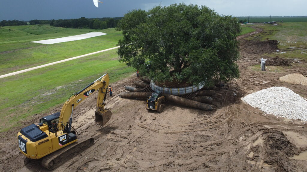 Drone photo of construction crews and heavy machinery securing a 300,000-pound oak tree for relocation at Austin Point in Fort Bend County, Texas.