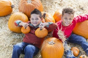 All In Point: Autumn Fest image